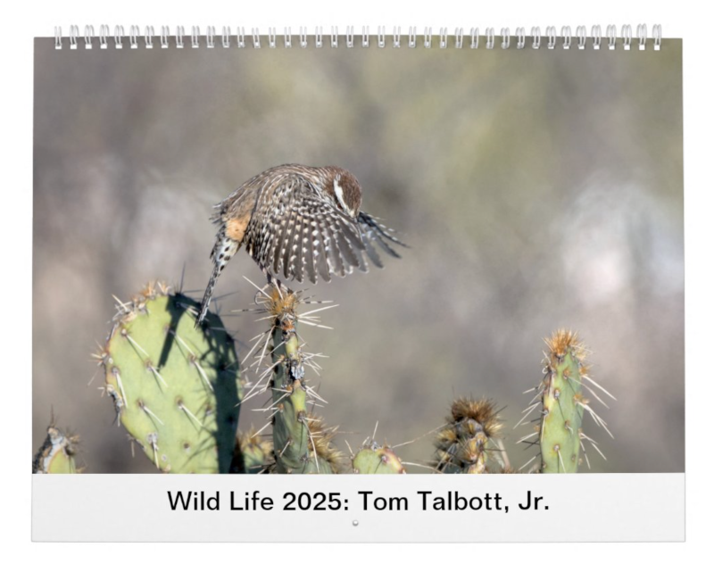 Wild Life 2025 Calendar